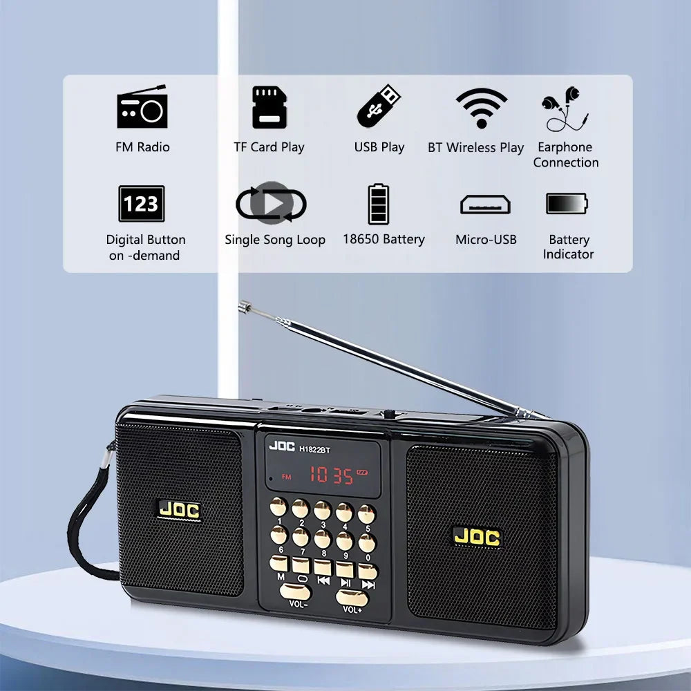 Tragbarer Bluetooth-Lautsprecher mit UKW-Radio, schwarz