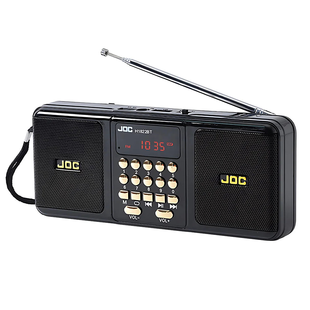 Tragbarer Bluetooth-Lautsprecher mit UKW-Radio, schwarz