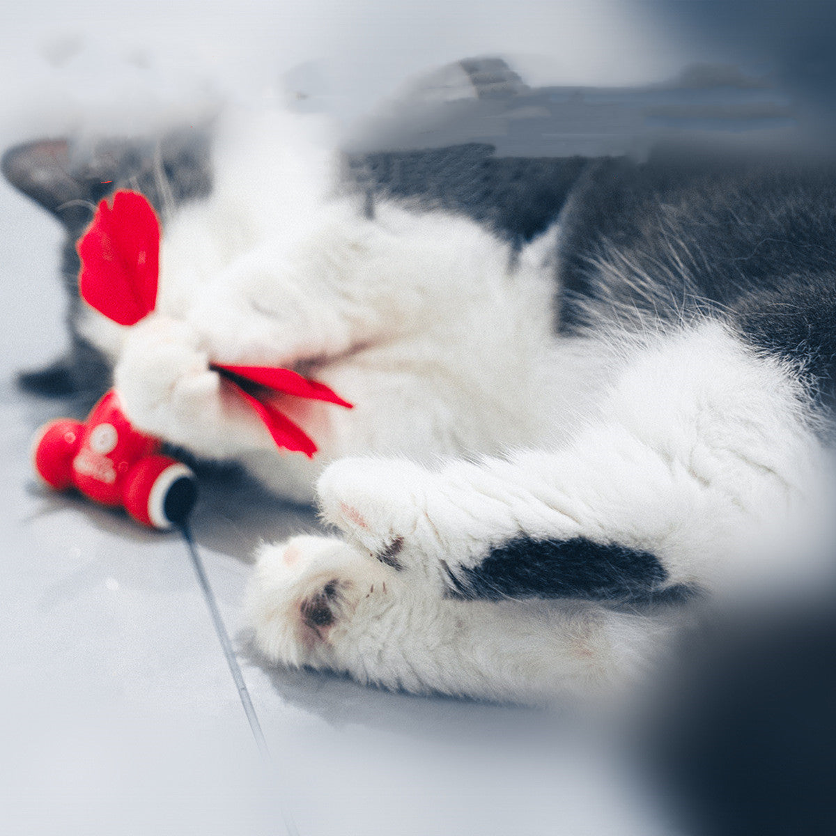 Intelligentes Spielzeugset für Katzen
