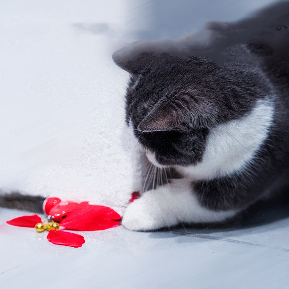 Intelligentes Spielzeugset für Katzen