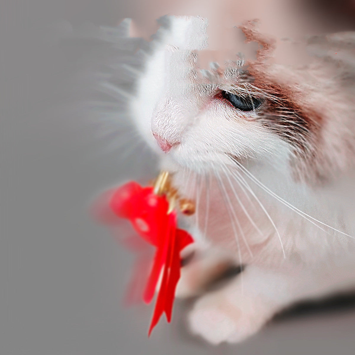 Intelligentes Spielzeugset für Katzen