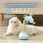 Intelligentes Spielzeug für Katzen