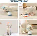 Intelligentes Spielzeug für Katzen