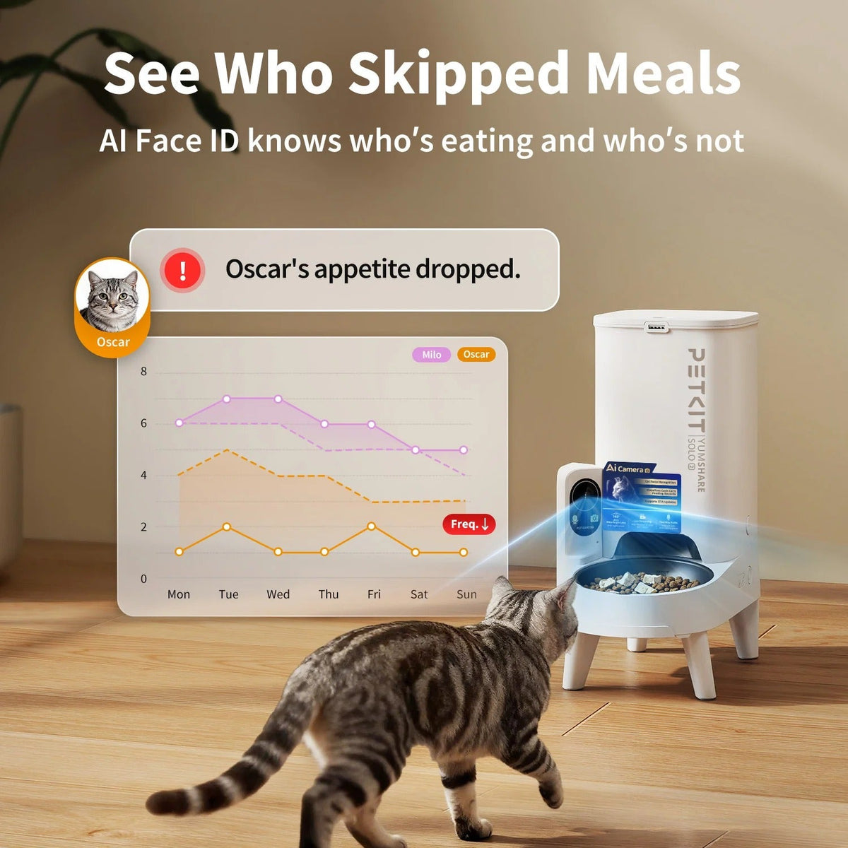 PETKIT YumShare Solo 2 Futterautomat mit Kamera